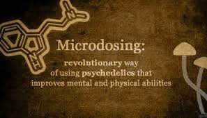 My Experience with Microdosing